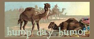 camels-hdh-by-marsha.jpg
